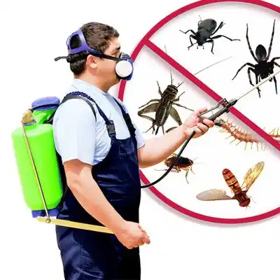 pest control Highland Park